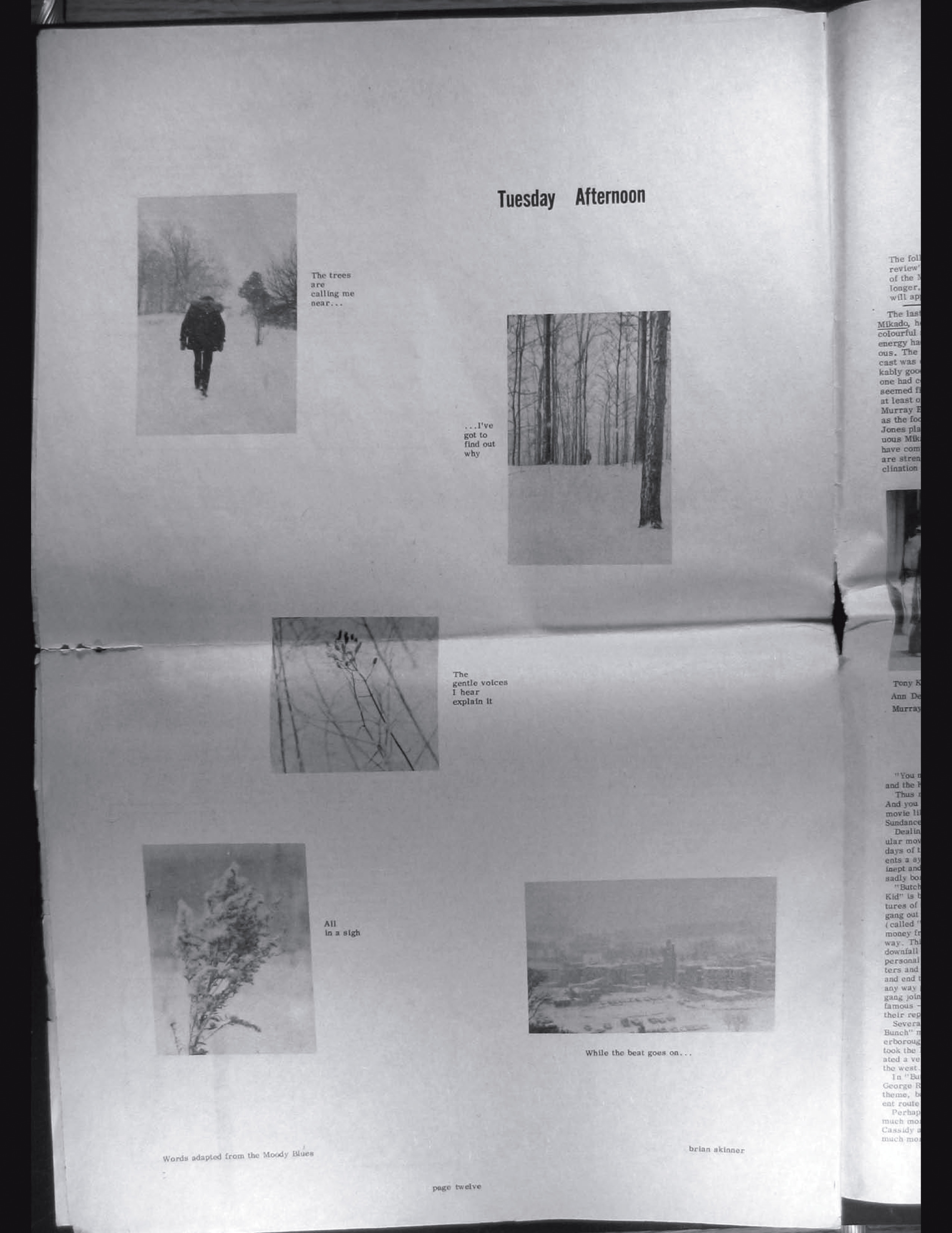 18445-Service File.jpg