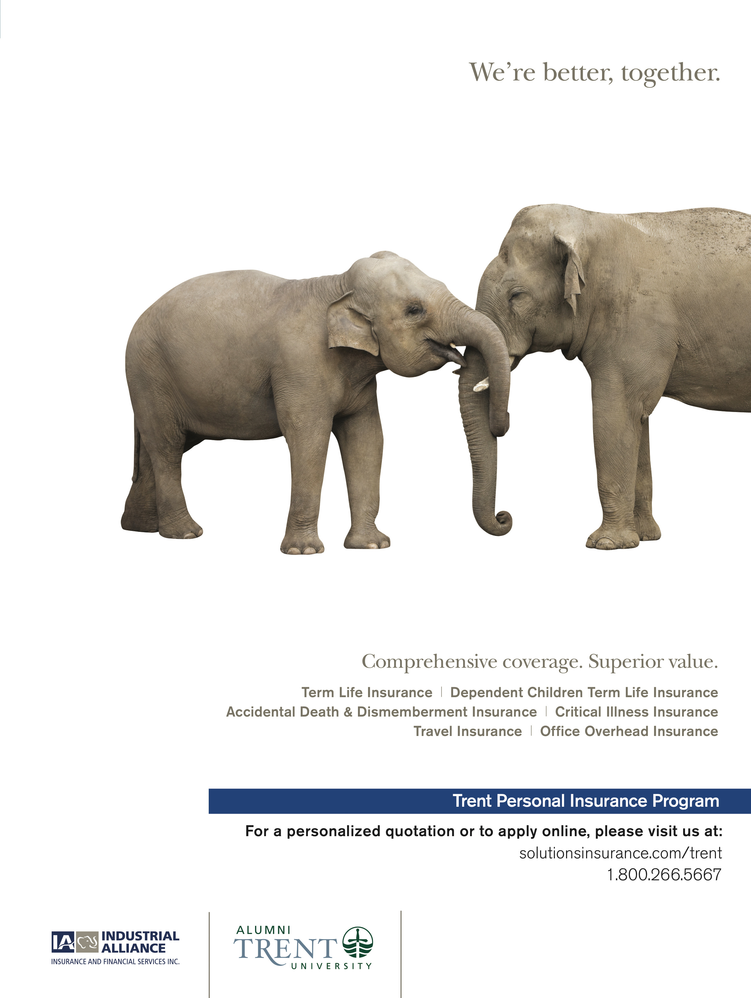 6883-Service File.jpg