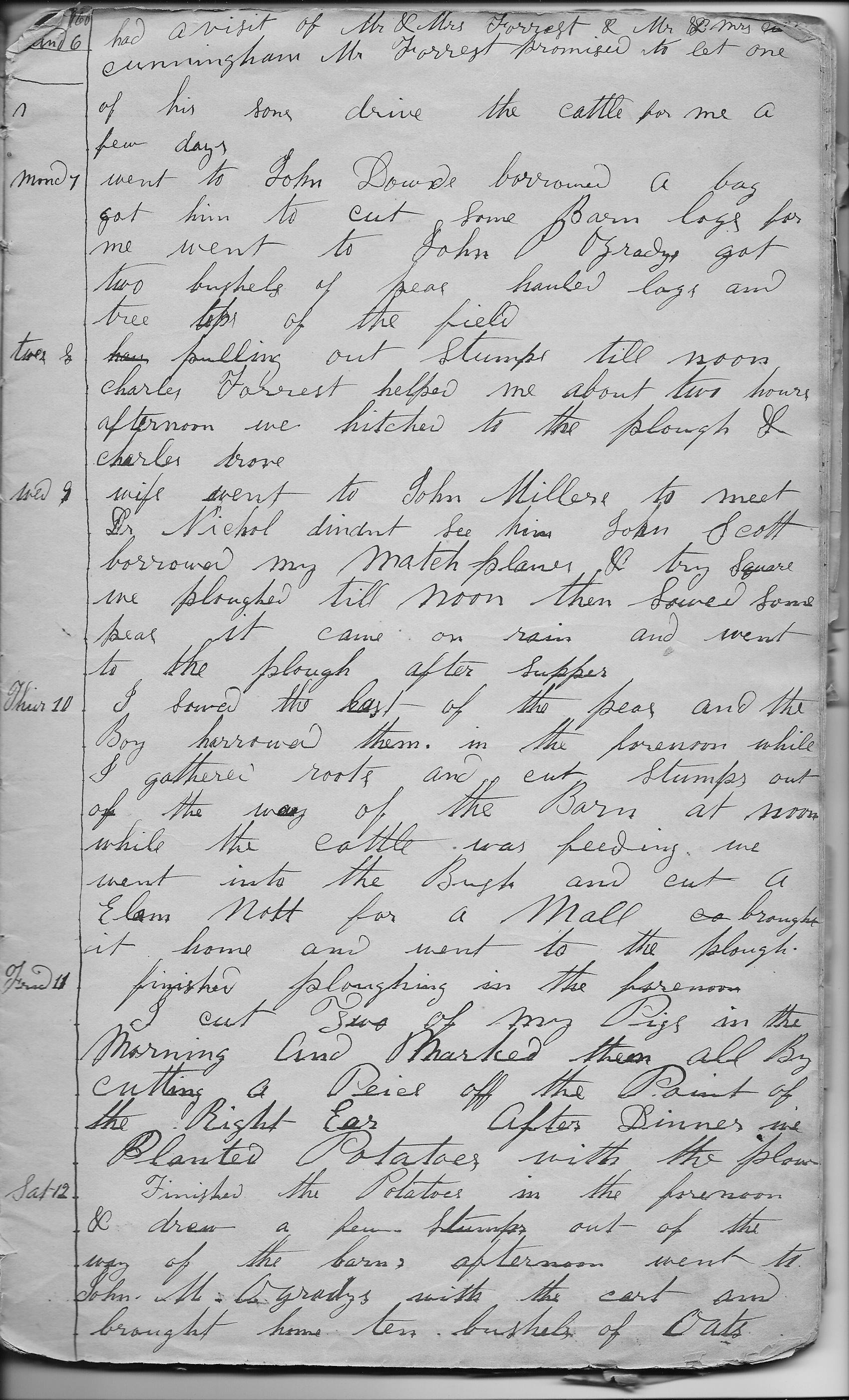 10065-Service File.jpg